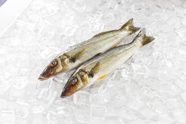 Whole Sand Whiting (500-550g)