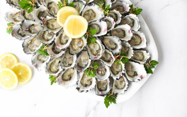 Platter - Freshly Shucked Oyster 