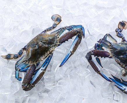 CR - Raw Blue Swimmer Crab (300-350g Each)