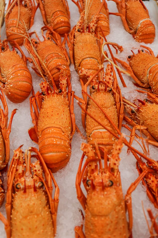 CR - Cooked WA Lobster (Min 400-500g Each)