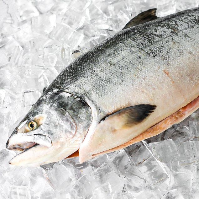 Whole NZ King Salmon (4.1-4.2 kg)